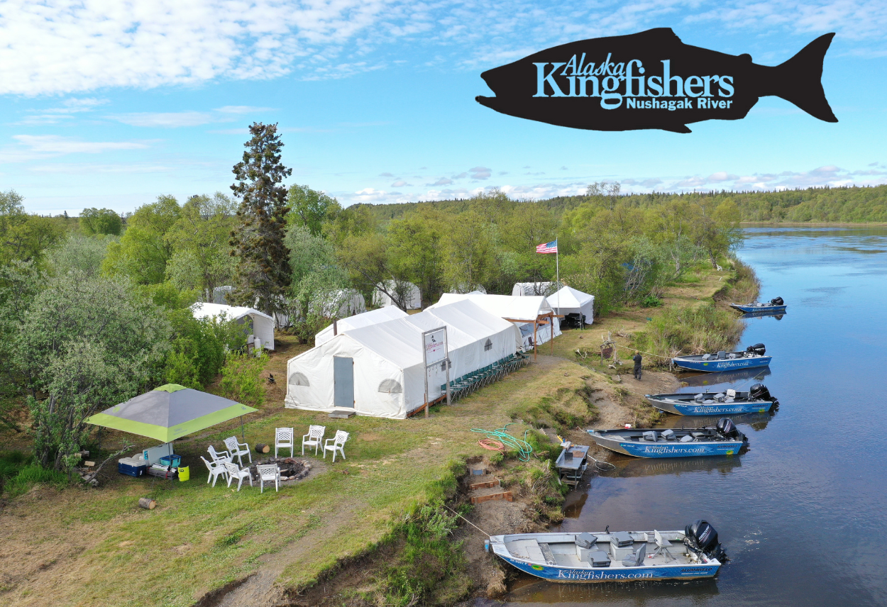 Alaska Kingfishers Trout Unlimited