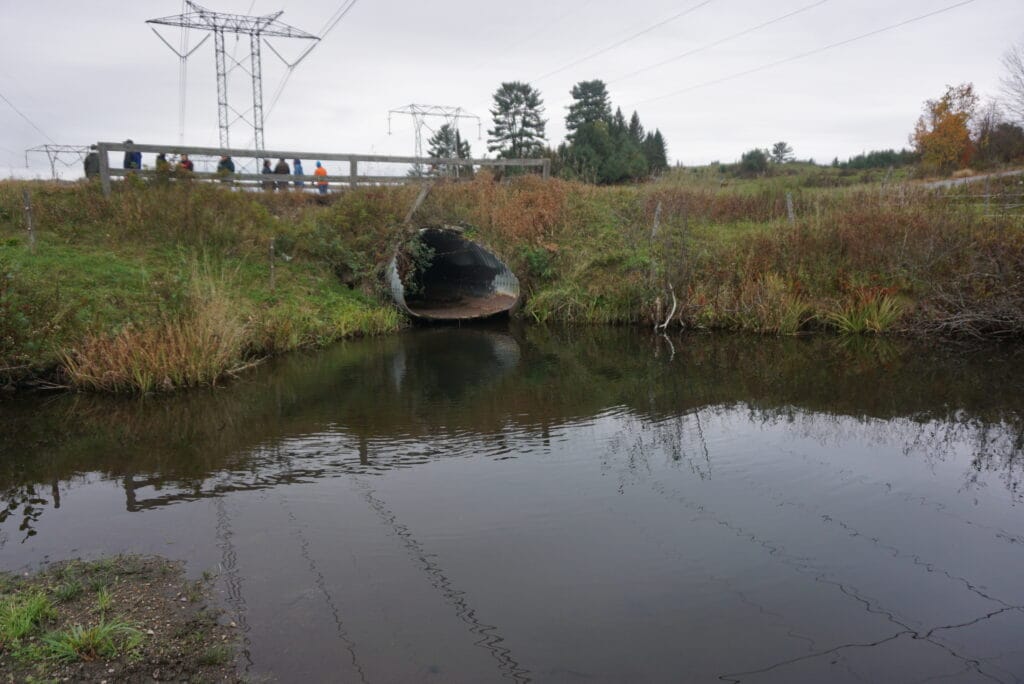 Although the culvert wasn't significantly perched, it was still enough to be a fish passage barrier.
