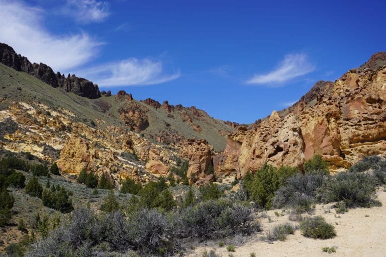 Asking for your help protecting more of our public lands on this National Public Lands Day