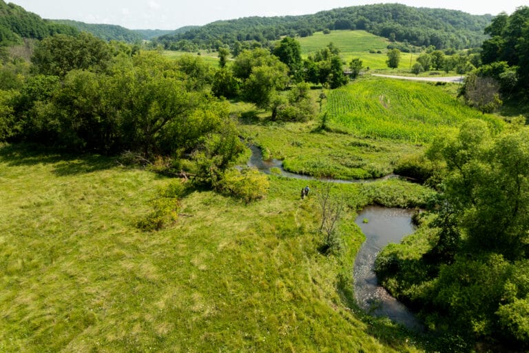 New StoryMap Showcases Conservation Successes and Future Priorities in the Driftless Area