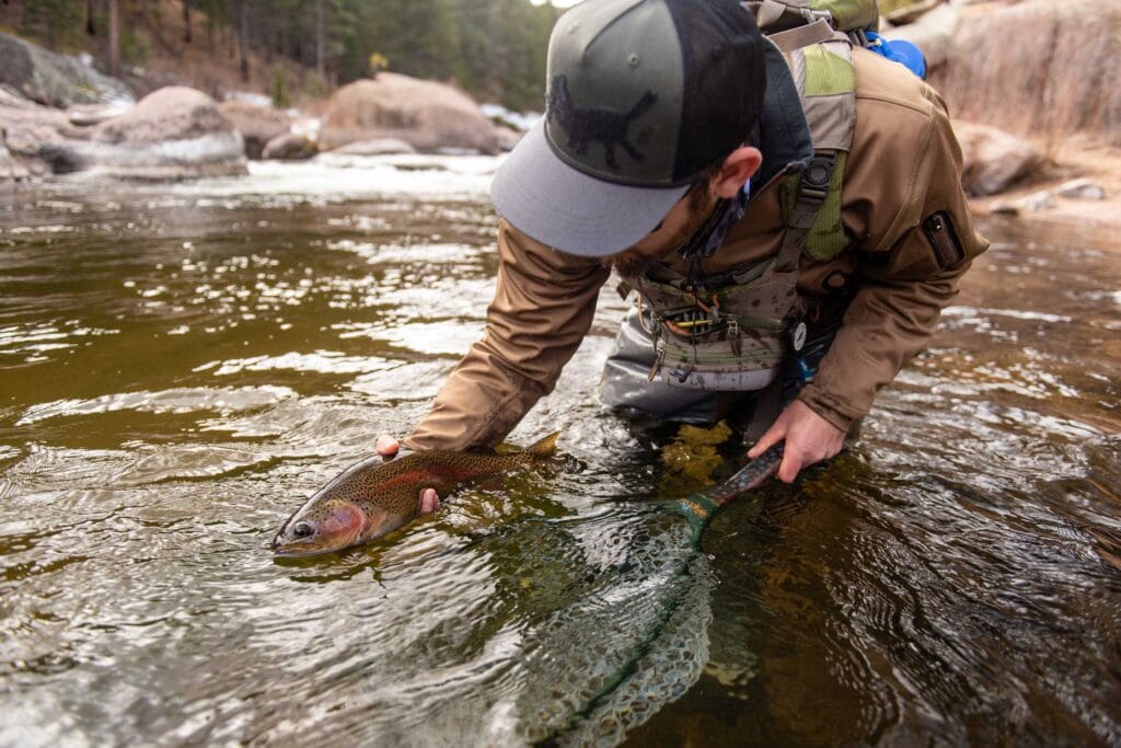 admiring_a_trout