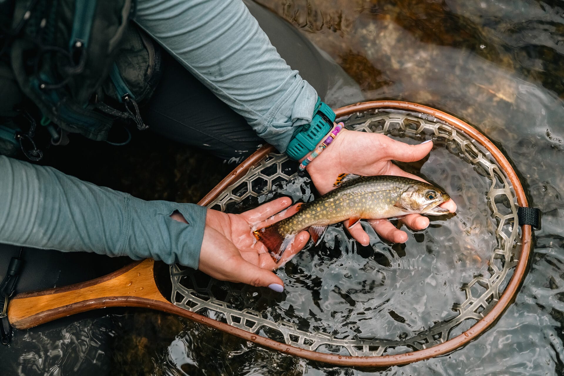 This Land Is Your Land: The Best Job At Trout Unlimited - Trout Unlimited