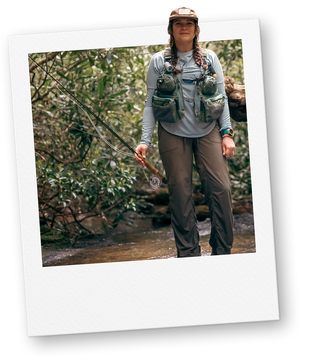 champion main polaroid