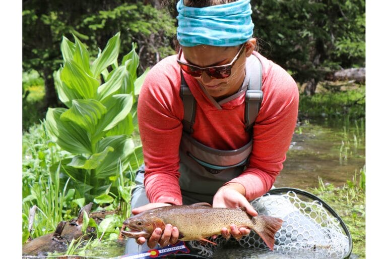 Spot trout, catch trout, photograph trout... for science