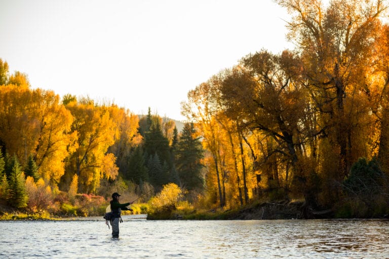TROUT Tips – correct common casting mistakes