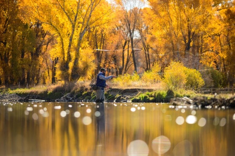 The True Cast - The sensory rewards of Autumn