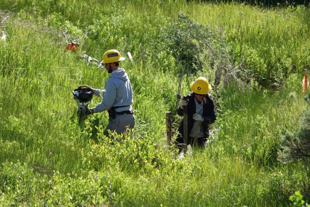 working-with-blm-to-build-beaver-dam-analogs-in-wyoming
