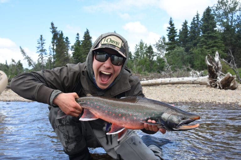 Photo of the Week – Be a champion