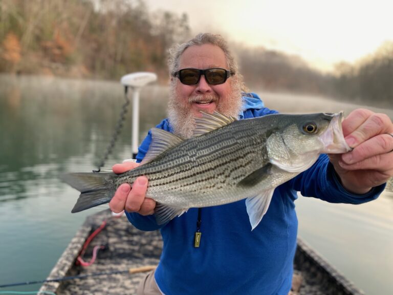 Doing something to protect what you love