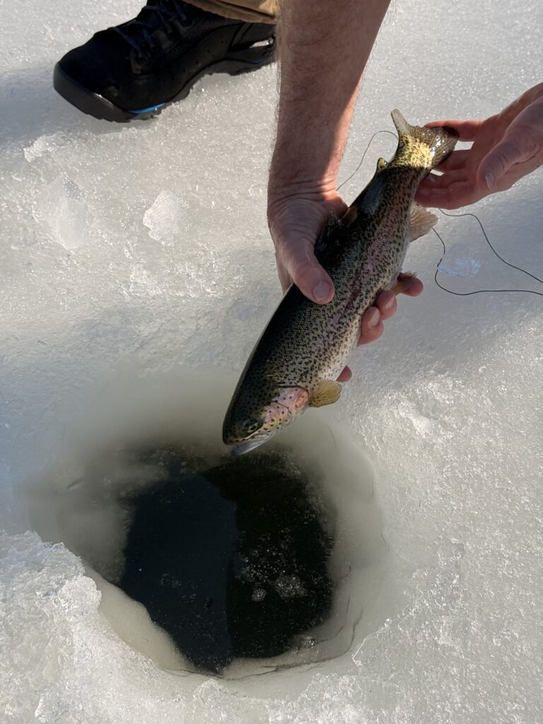 ice fishing fish above hole in ice