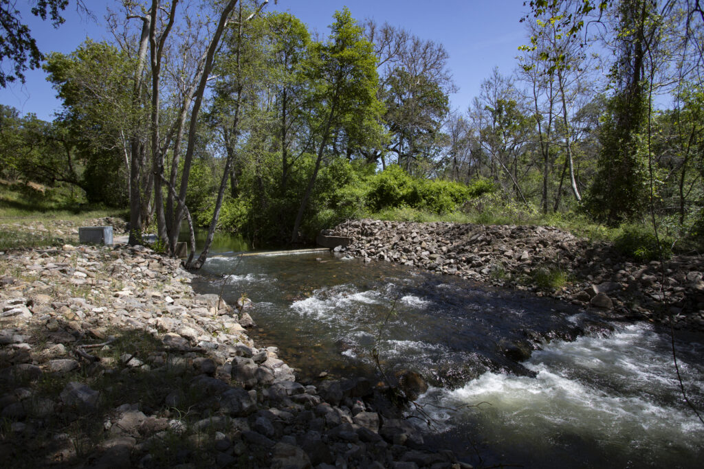 paynes creek new ramp for spawning fish before diversion