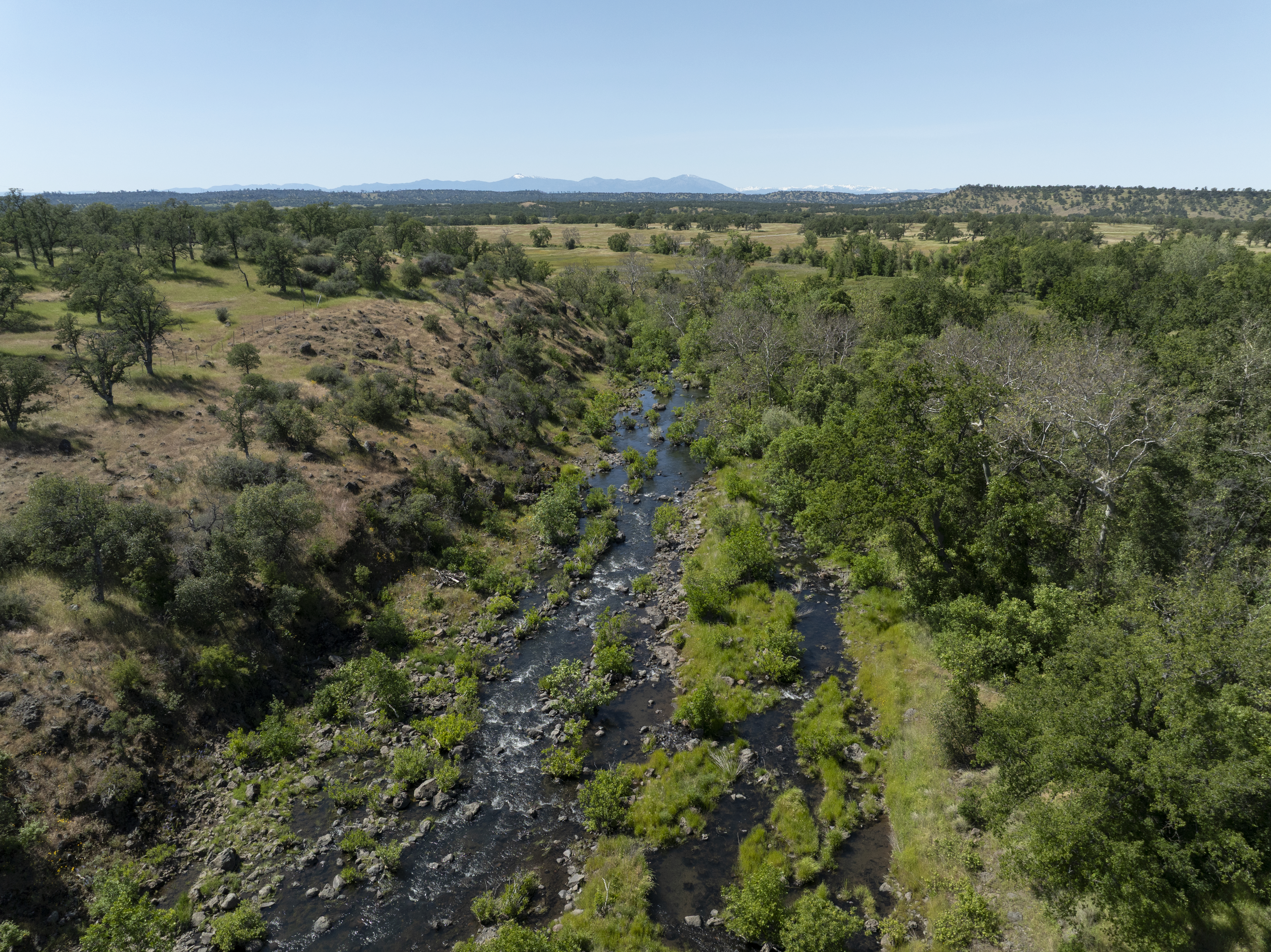 paynes creek aerial view