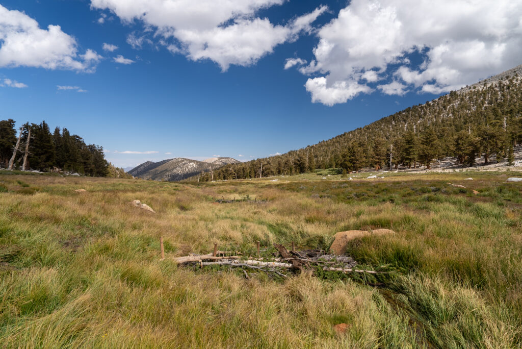 golden trout wilderness