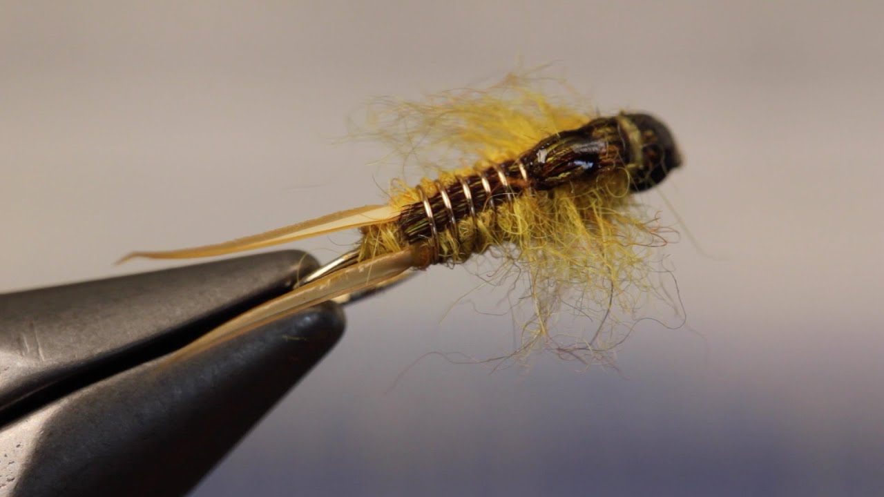 golden stone pattern fly tying