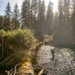 beautiful fishing forest stream roadless area