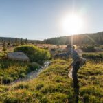 fishing golden trout habitat