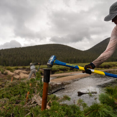 volunteer working on stream restoration