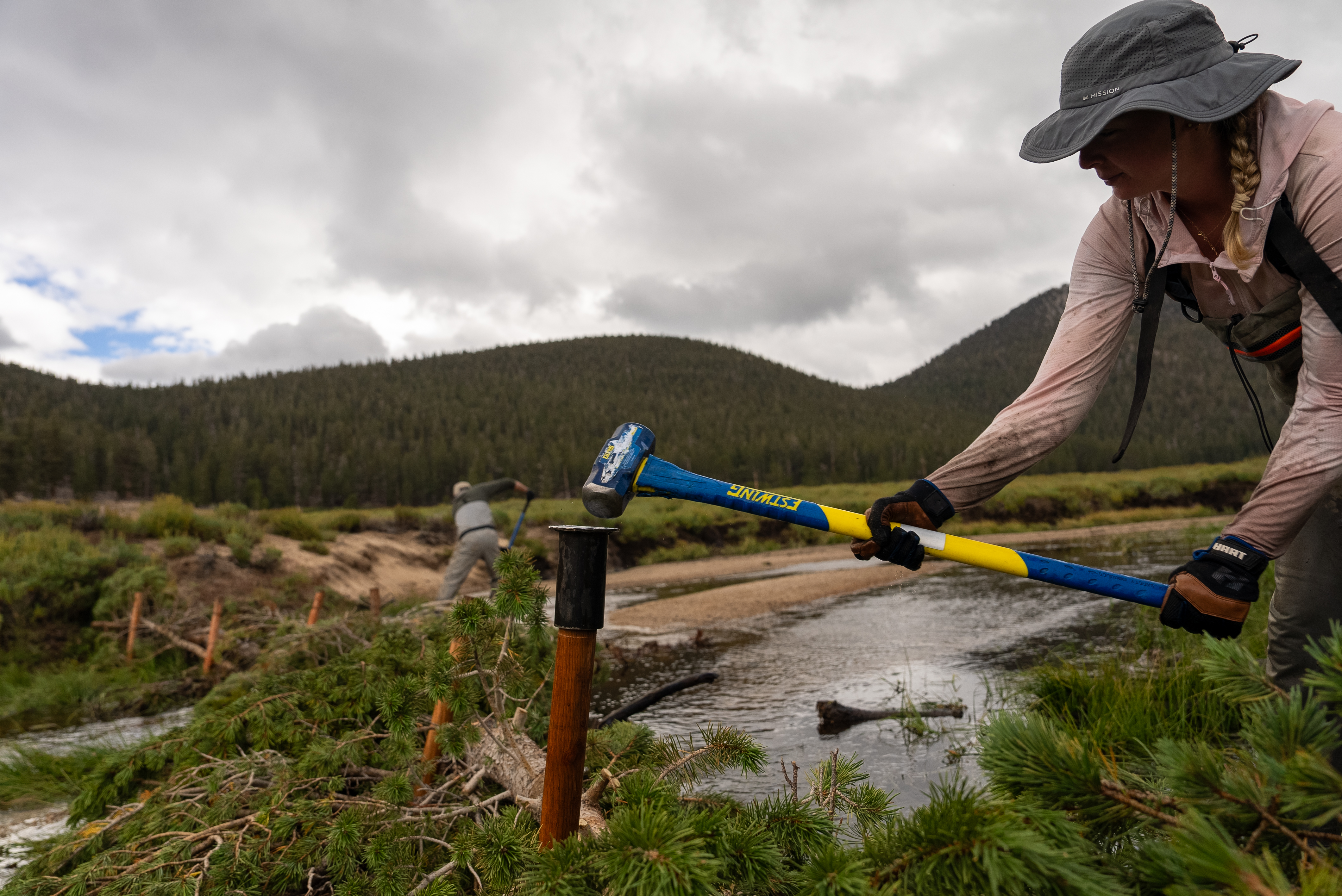 volunteer working on stream restoration