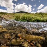 beautiful roadless area photo from stream level