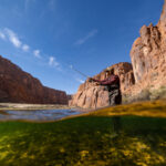 fly fishing grand canyon trout unlimited photo of the week
