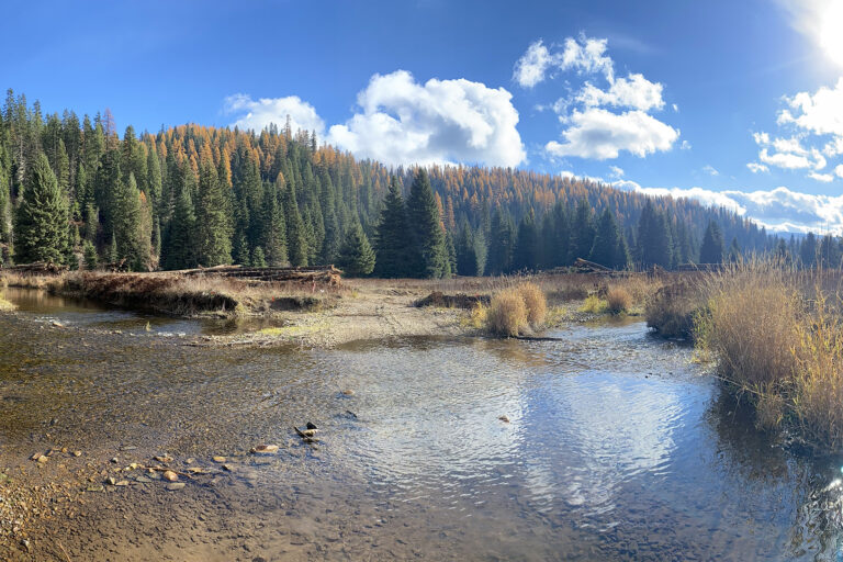 Five years of healthier fish and forests in Idaho’s Panhandle