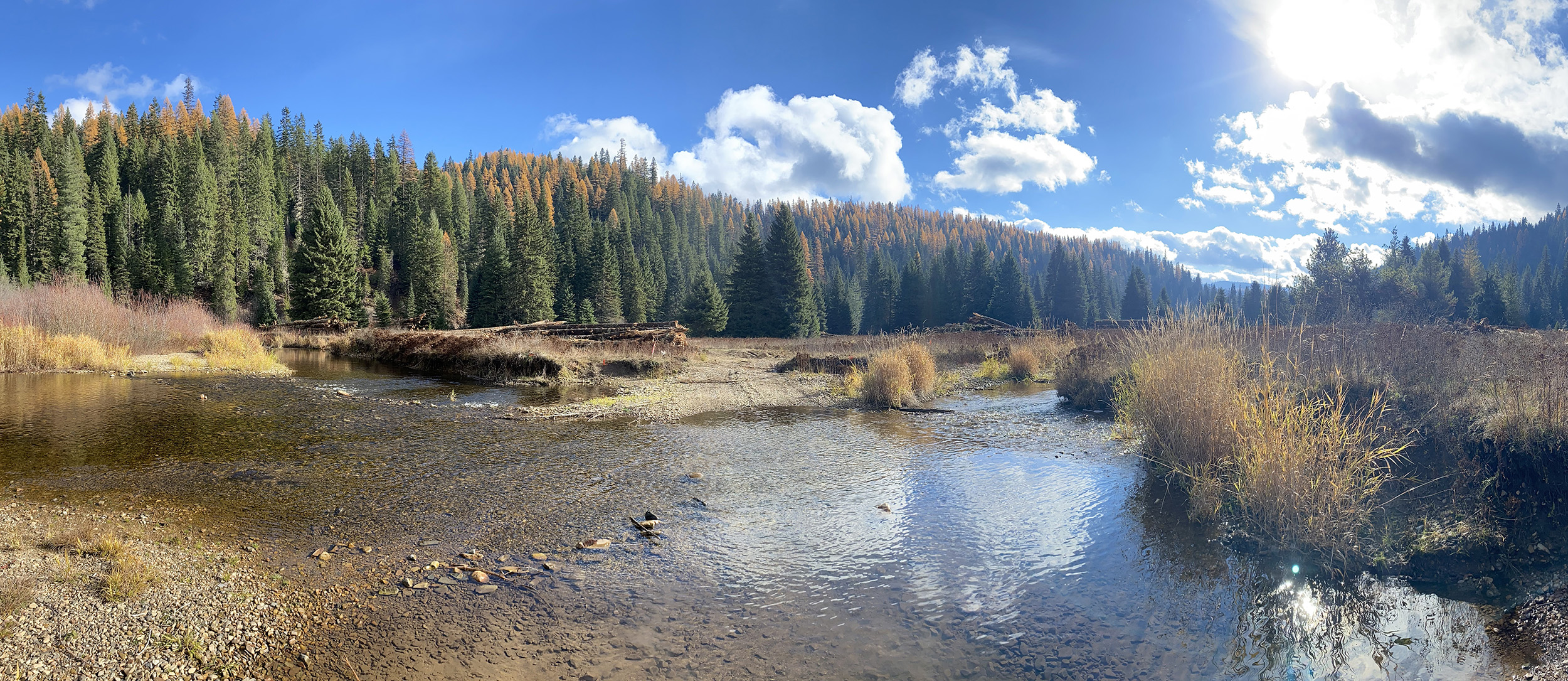 little north fork wide shot of creek
