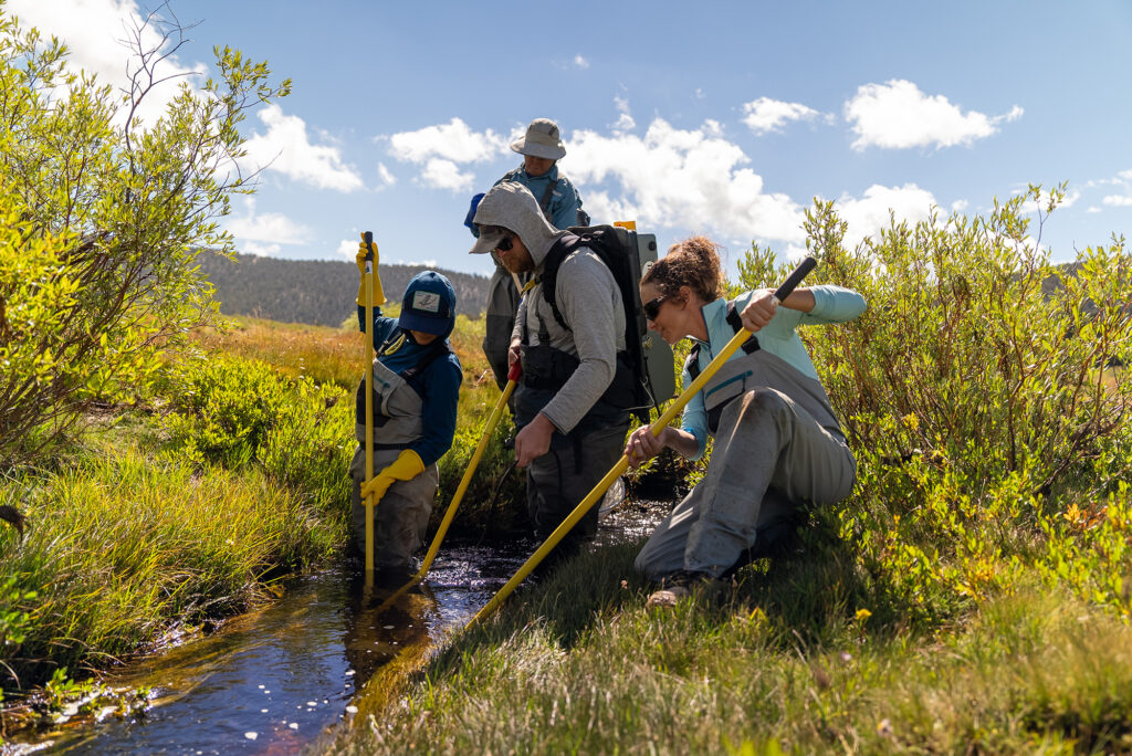 team monitoring restoration work