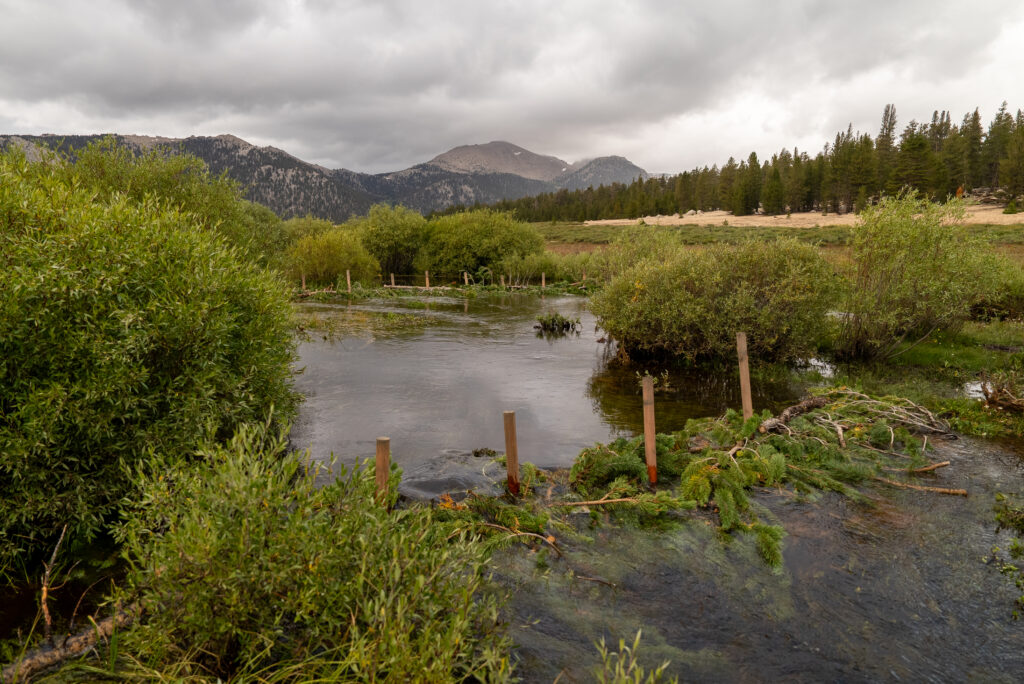 post assisted log structure slowing water