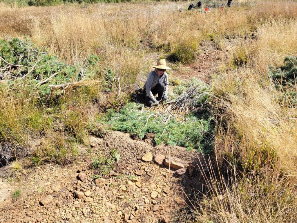team member preparing a stream bed for restoration