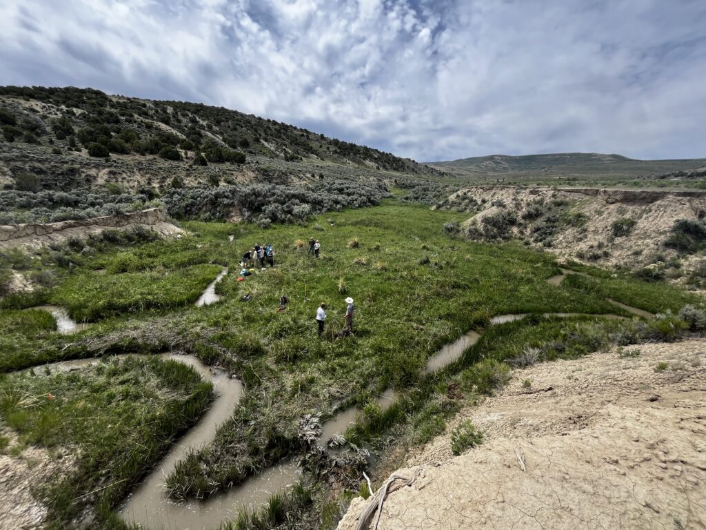 Sage Creek, Wyoming Sage Creek, Wyoming