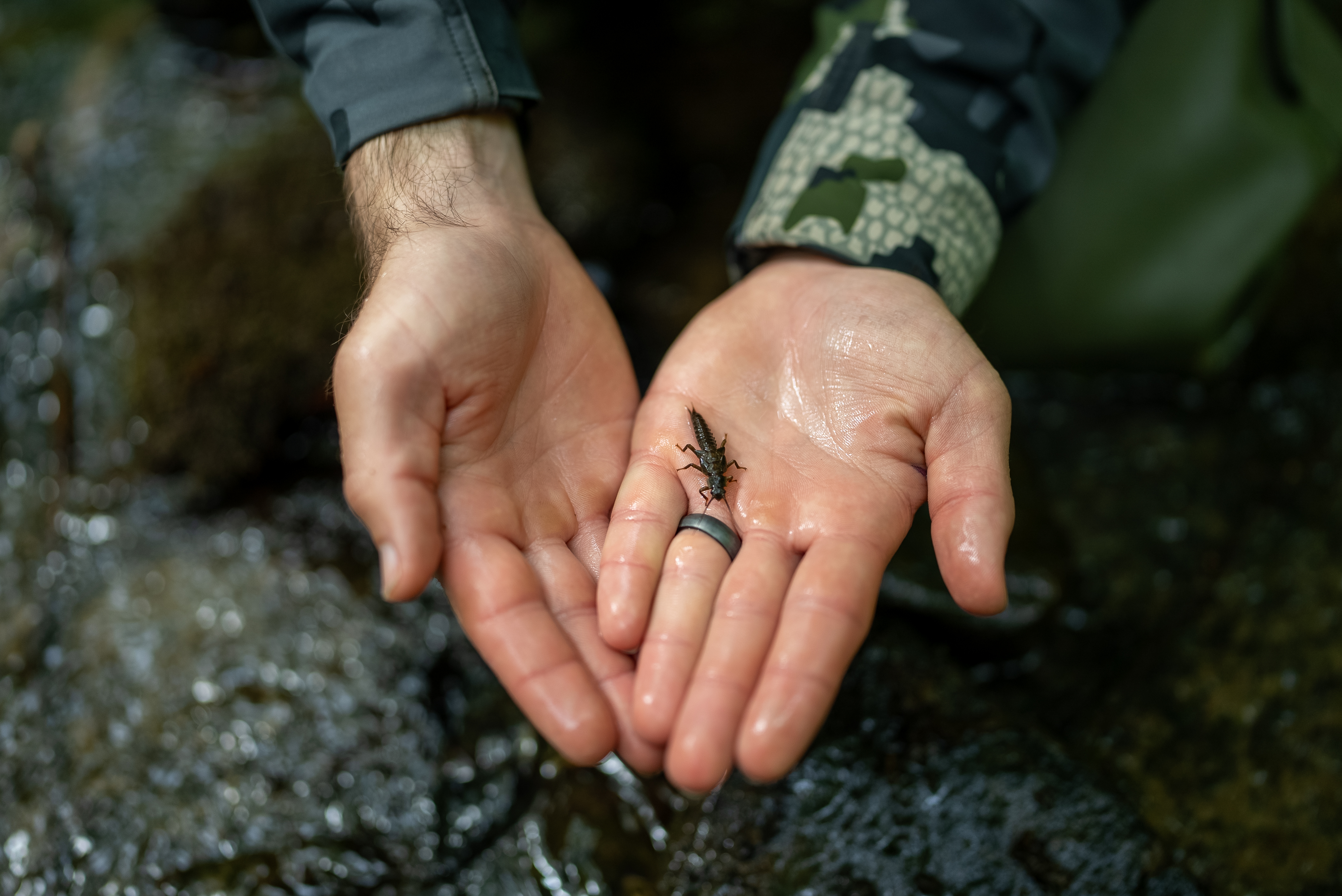 springtime for anglers hands holding nymph