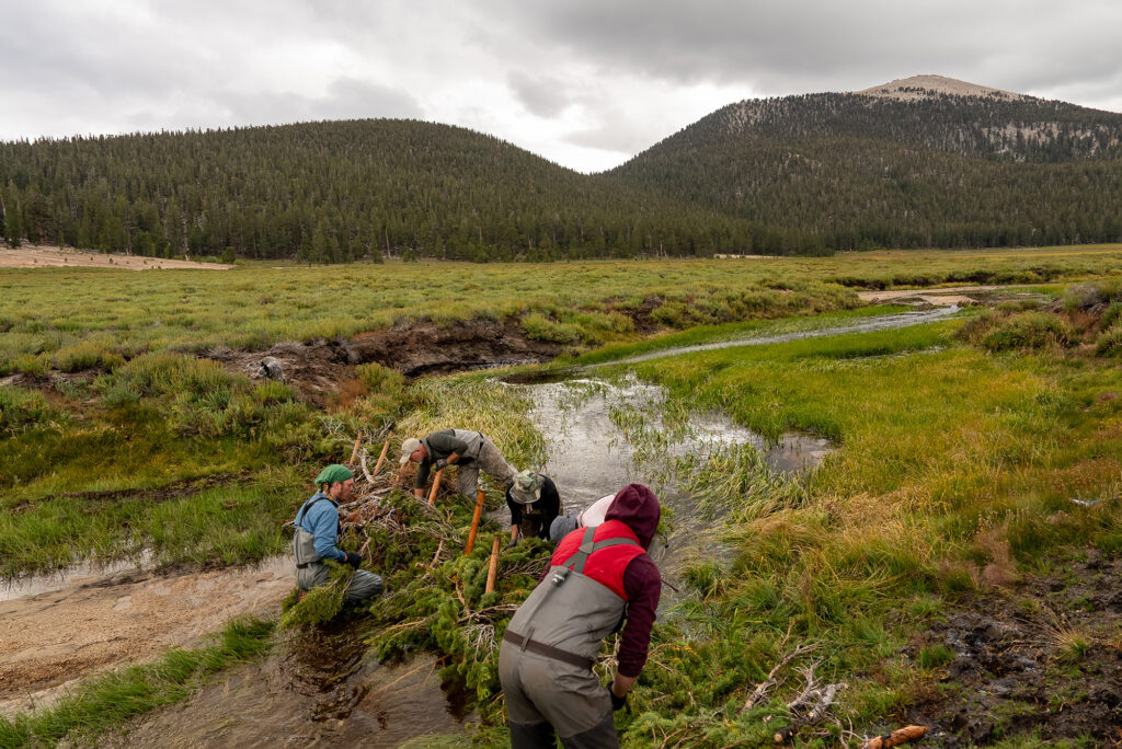 TU and partner team restoring stream habitat