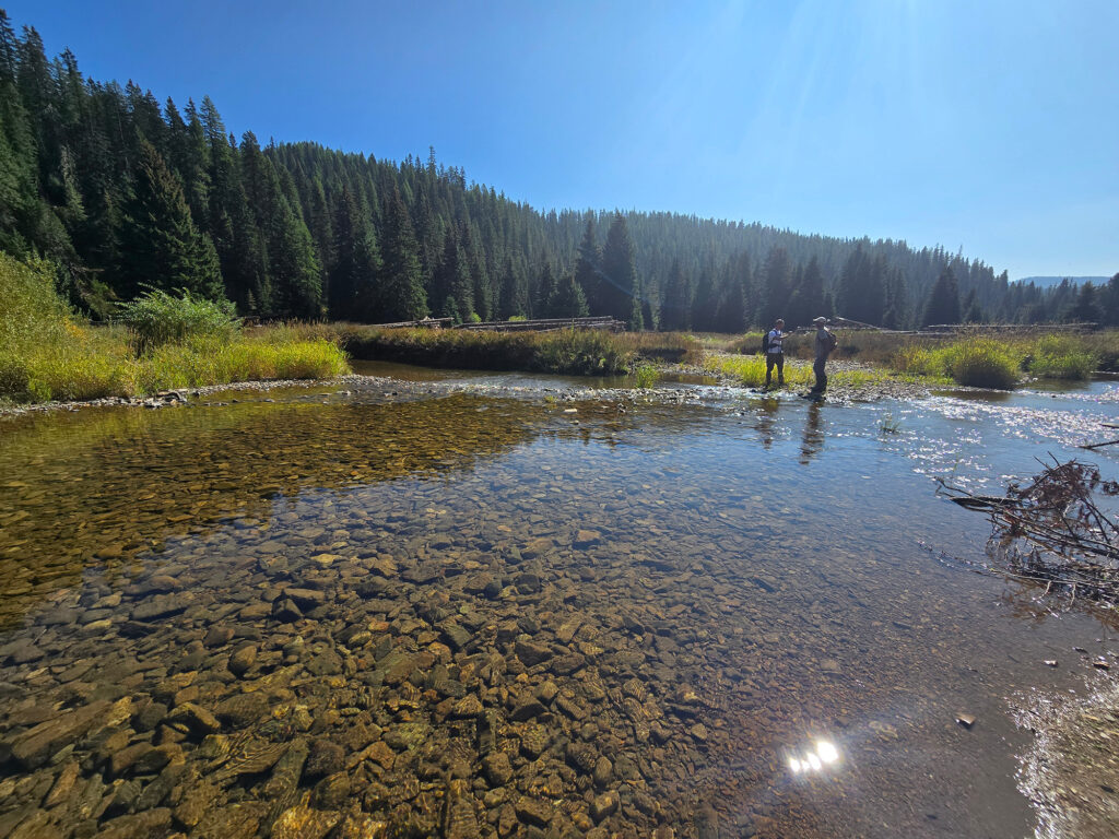 usfs tu in creek discussing the location of a log structure