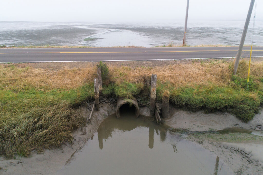 before image: flower pot creek culvert to be replacement
