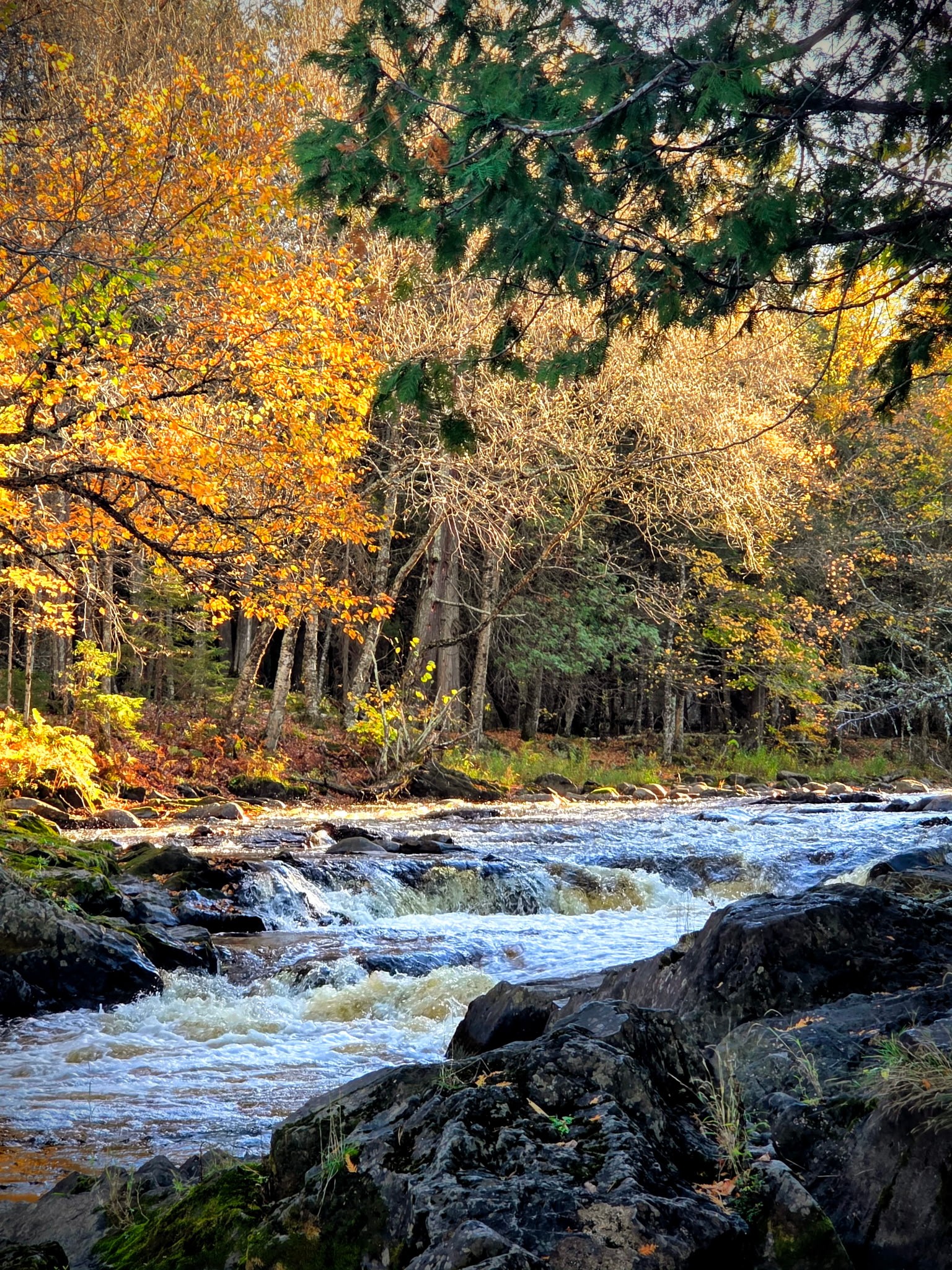 Meyer Falls photo by Dave Platz