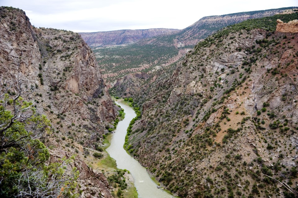 gunnison canyon