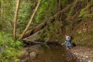 two people next to hare creek, fort bragg california