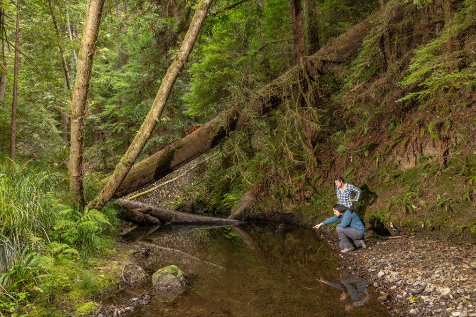 two people next to hare creek, fort bragg california