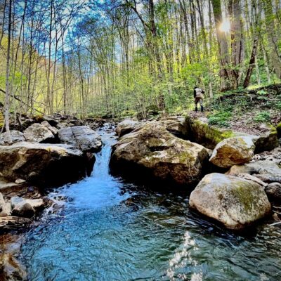 Headwater stream-fishing in GW Jeff-National Forest