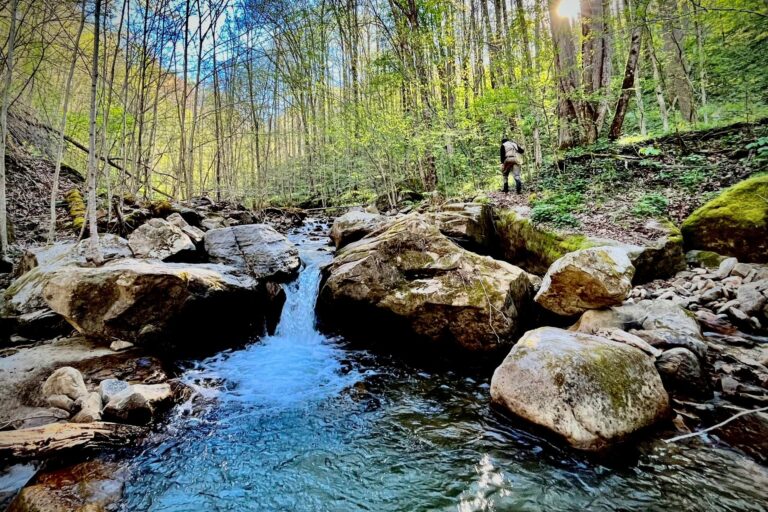 Places worth protecting: George Washington/Jefferson National Forest