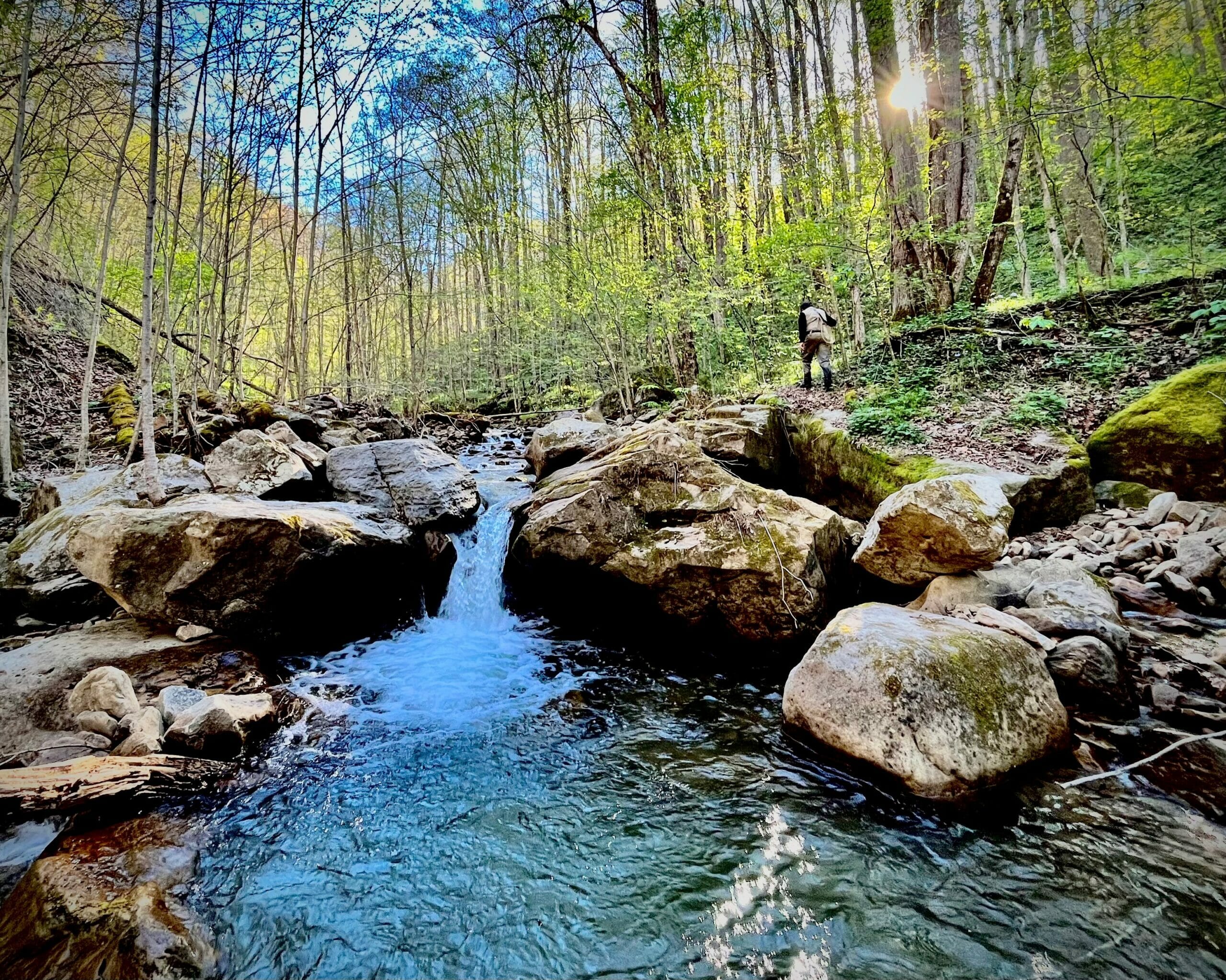 Headwater stream-fishing in GW Jeff-National Forest