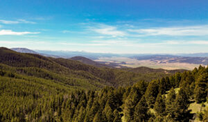 National forests