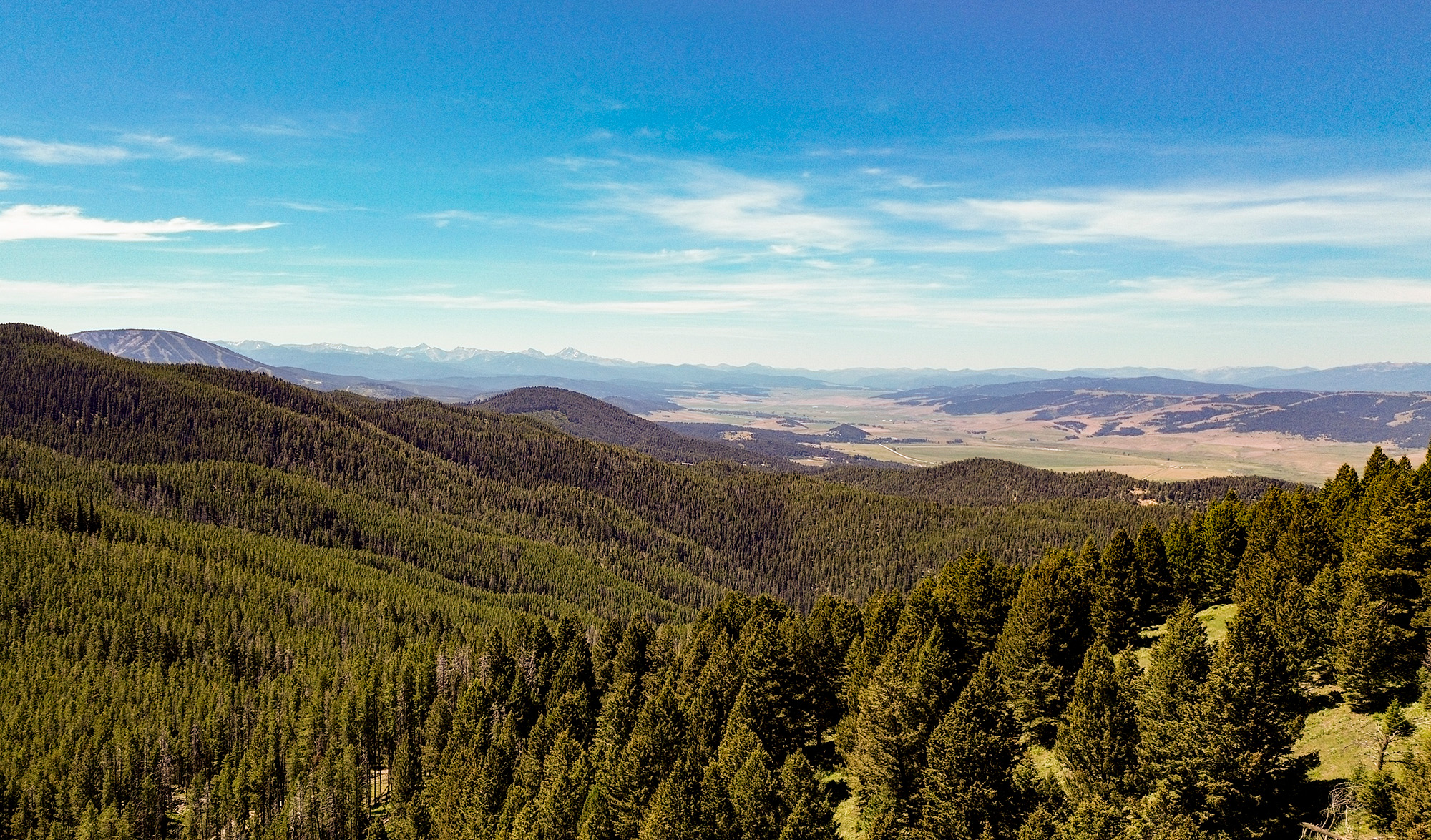 National forests