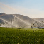 rogue river managed farmland irrigation