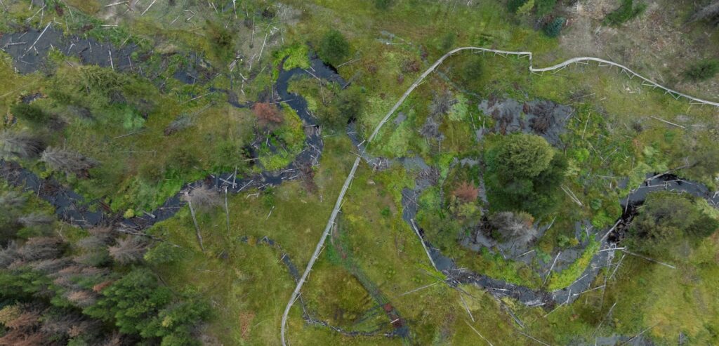 wildfire site sheep creek