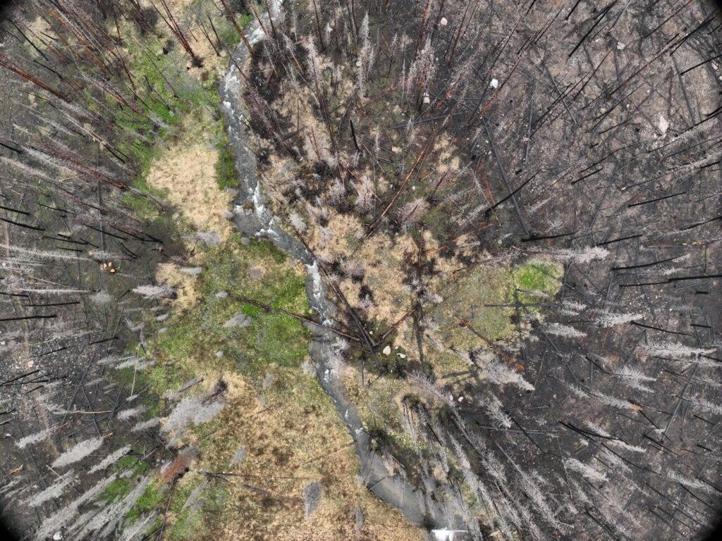 wildfire site kinney creel