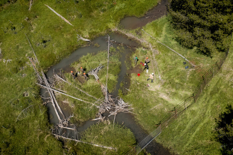 What is Low-Tech Process-Based Restoration? 