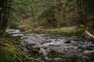 Improved stream habitat near Rockland