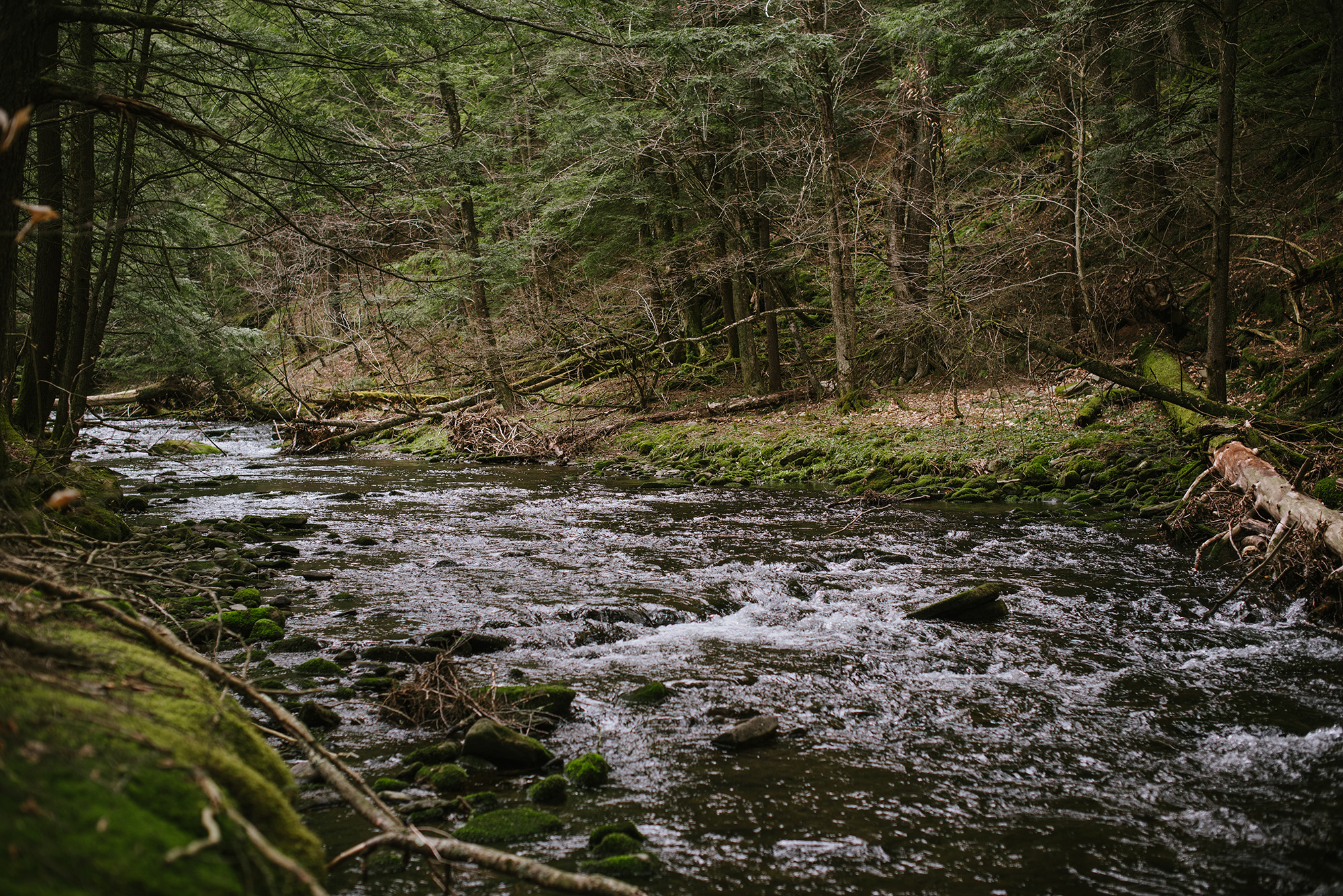 Improved stream habitat near Rockland