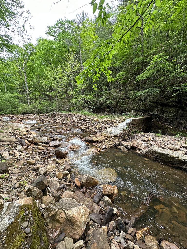removed bridge gw jeff-national forest